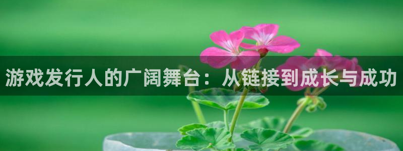 雷火电竞怎么注册账号：游戏发行人的广阔舞台：从链接到成长与成功