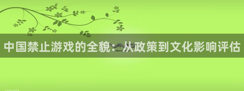 雷火电竞平台怎么样啊