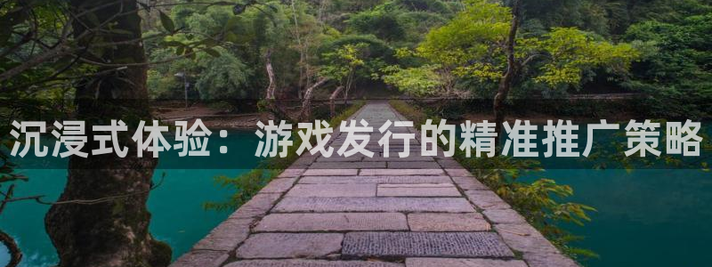 长沙雷火竞技子电子商务有限公司：沉浸式体验：游戏发行的精准推广策略