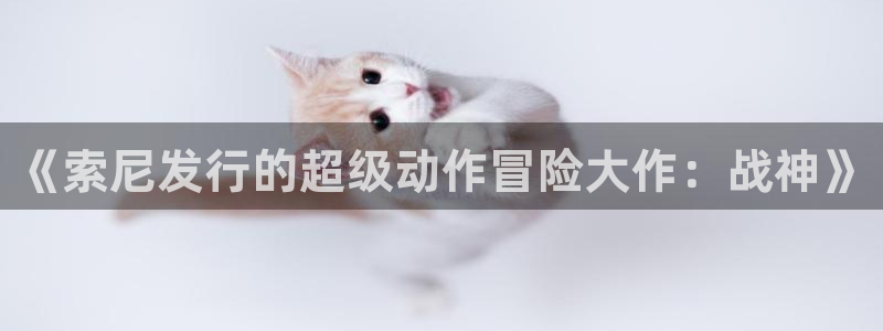 雷火竞技子文化创意有限公司特邀玩家