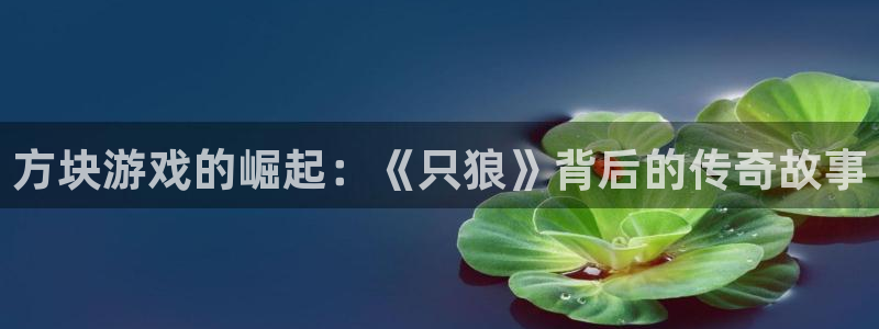 雷火电竞注册方法有哪些软件