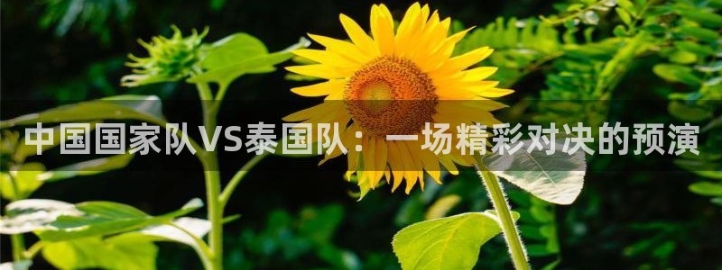 上海五星体育频道回看