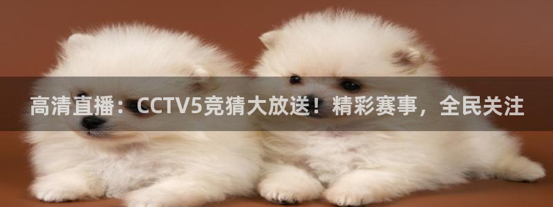 上海五星体育在线直播：高清直播：CCTV5竞猜大放送！精彩赛事，全民关注