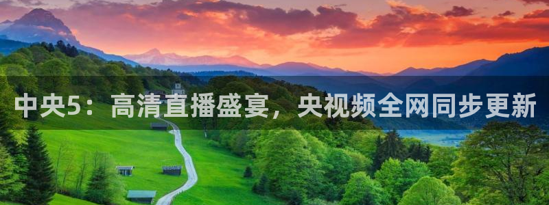 五星体育张效玮：中央5：高清直播盛宴，央视频全网同步更新