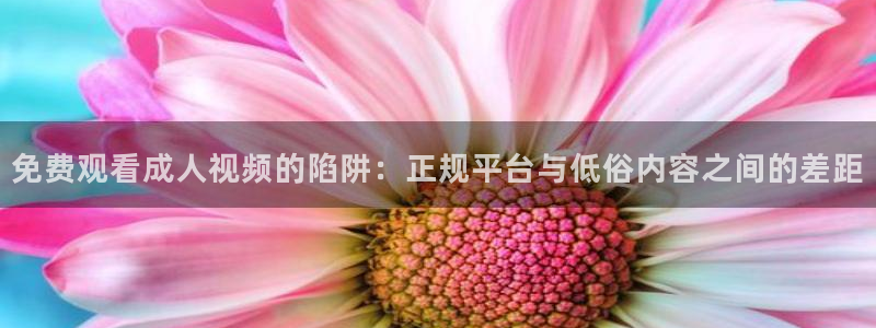 五星体育今天节目表 电视猫：免费观看成人视频的陷阱：正规平台与低俗内容之间的差距