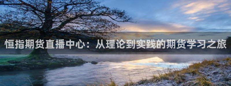 上海五星体育直播回看：恒指期货直播中心：从理论到实践的期货学习之旅