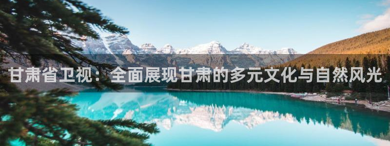 五星体育高清是几频道：甘肃省卫视：全面展现甘肃的多元文化与自然风光