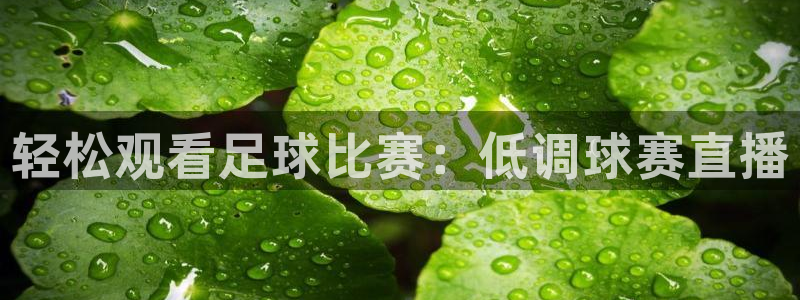 五星体育播放源：轻松观看足球比赛：低调球赛直播