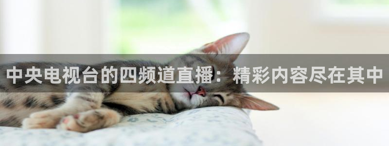 f1直播五星体育在线观看：中央电视台的四频道直播：精彩内容尽在其中