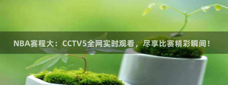 五星体育在线直播网球：NBA赛程大：CCTV5全网实时观看，尽享比赛精彩瞬间！