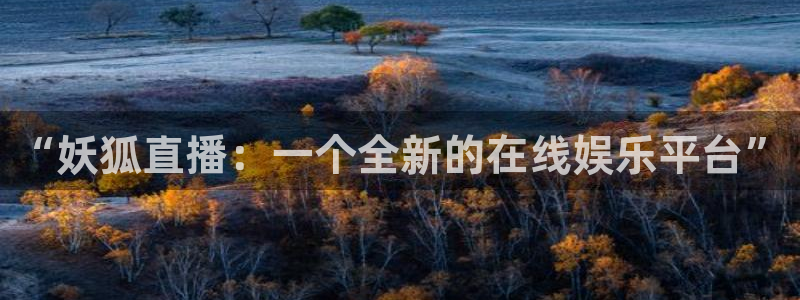 上海五星体育直播节目表：“妖狐直播：一个全新的在线娱乐平台”