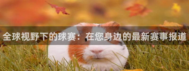 五星体育 直播：全球视野下的球赛：在您身边的最新赛事报道