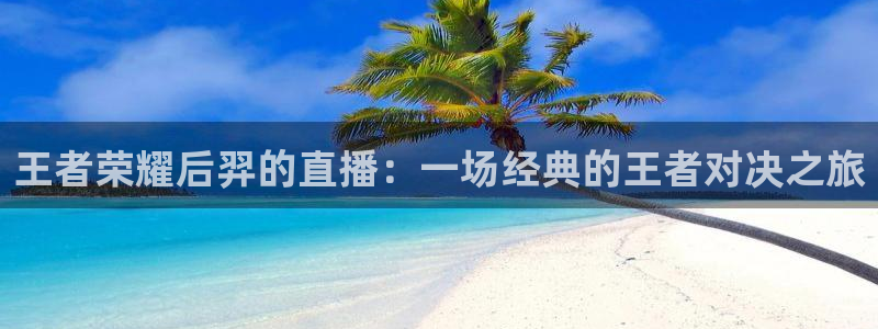 2004f1法国站五星体育：王者荣耀后羿的直播：一场经典的王者对决之旅