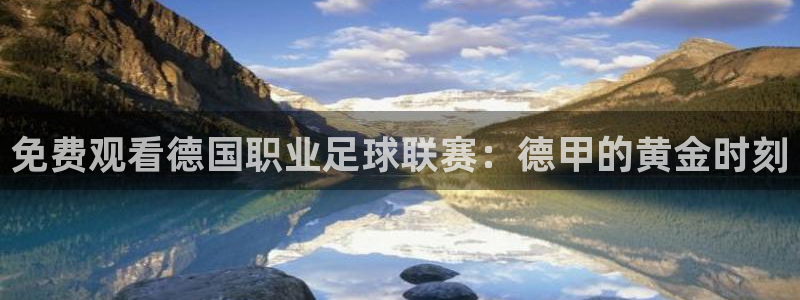 哪里可以看五星体育：免费观看德国职业足球联赛：德甲的黄金时刻
